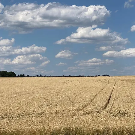 Ferienwohnung Lieblingsplatz In Aichtal-Groetzingen Zewnętrze zdjęcie