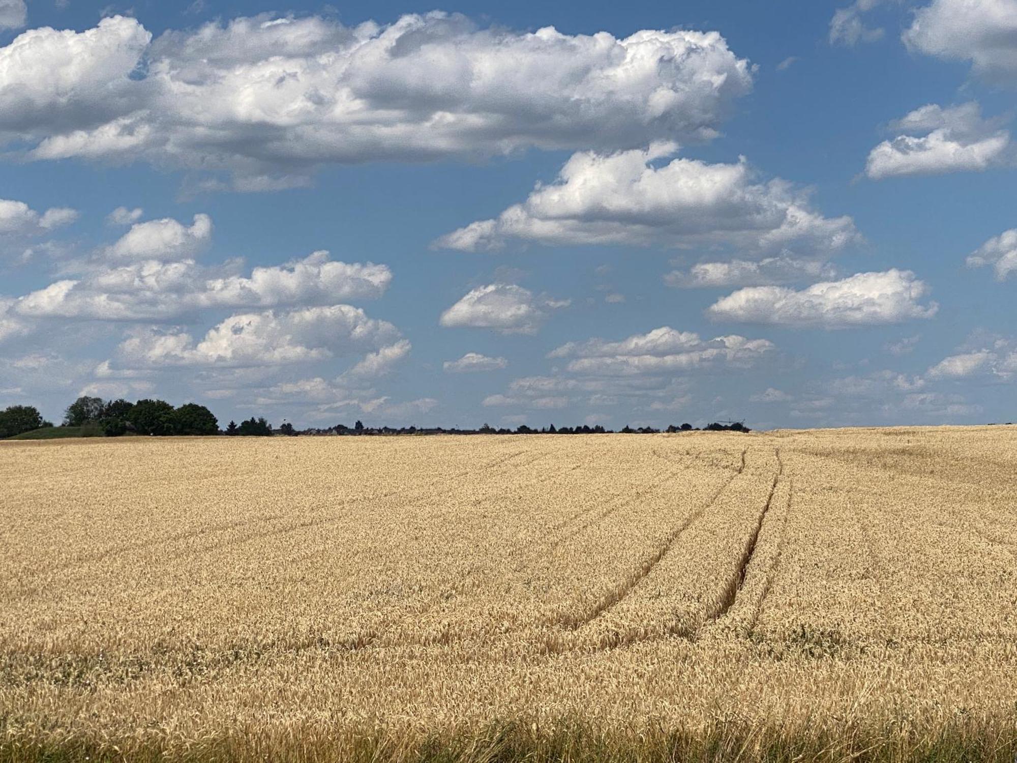 Lieblingsplatz In Aichtal-groetzingen *
